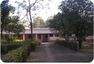 Jungle hospital motinal